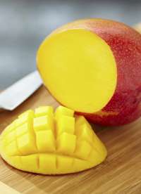 Arap Escort Ile Olağanüstü Bir Deneyime Hazır Olun